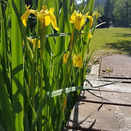 Ferienpension Garni Hubert Rigelnik