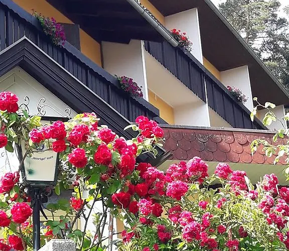 Bed & Breakfast Ferienpension Garni Hubert Rigelnik