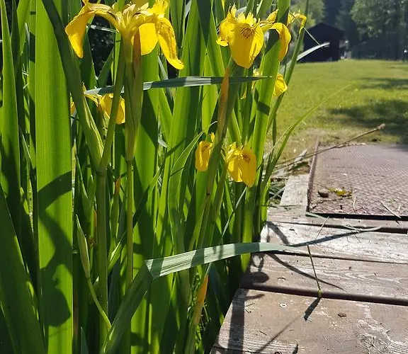 Ferienpension Garni Hubert Rigelnik